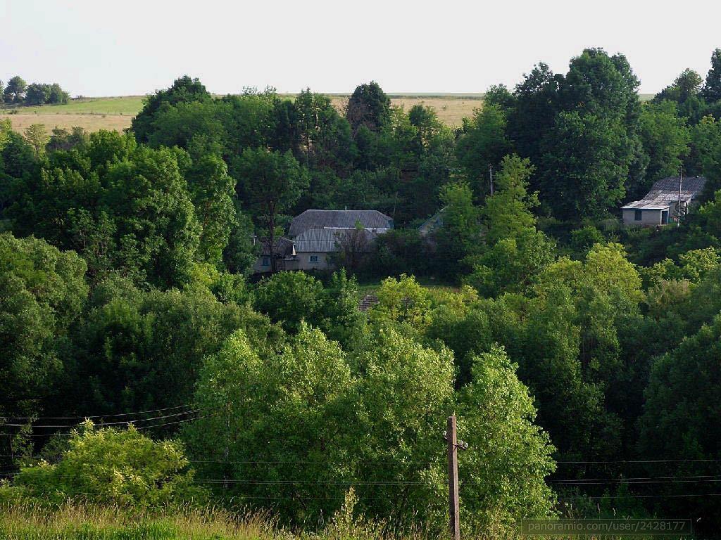 Сирватинці з panoramio.com - Сырватинцы