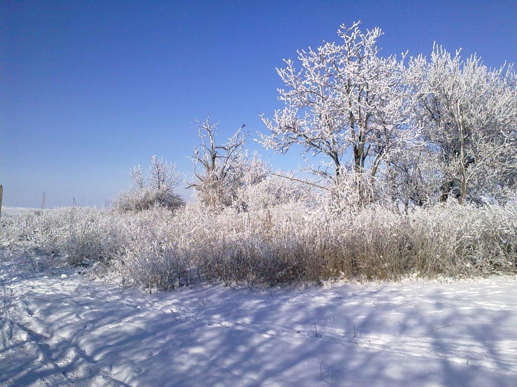 Ганнівка з panoramio.com - Ганнівка