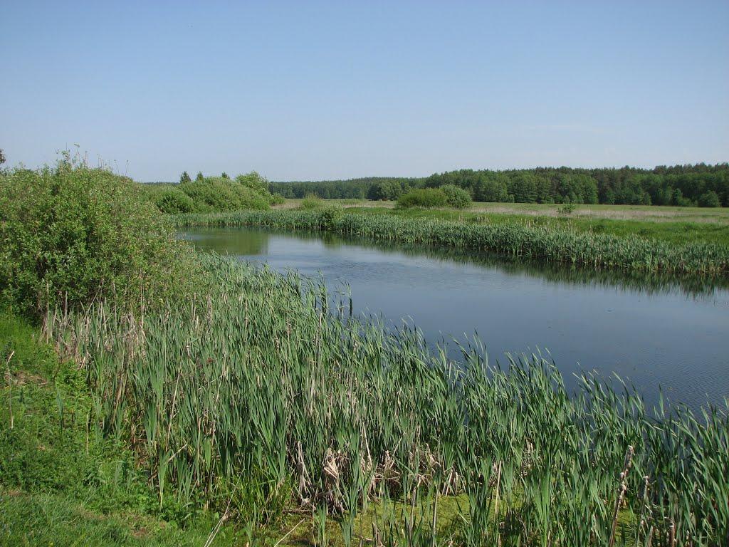 Богданівка з panoramio.com - Bogdanivka