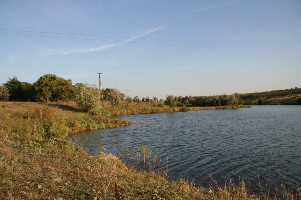 Кінські Роздори з panoramio.com - Кінські Роздори