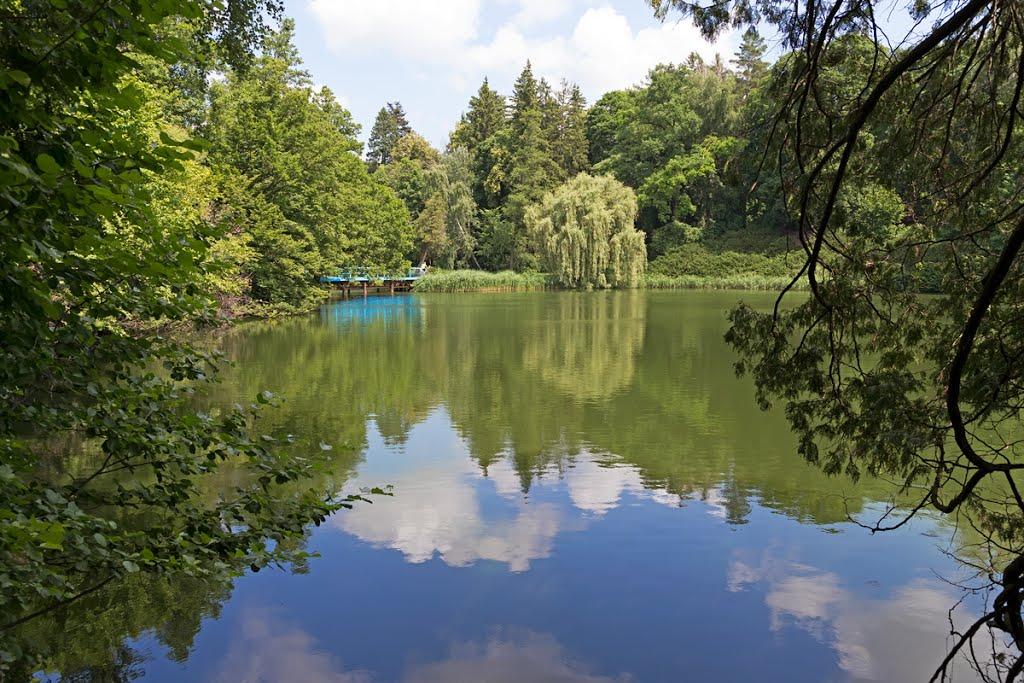 Васьківці з panoramio.com - Васьковцы