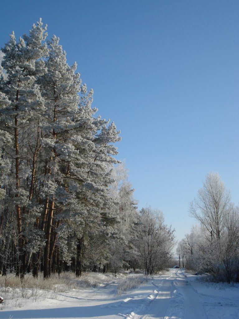 Філатове з panoramio.com - Філатове