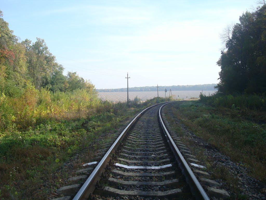 Лісоводи з panoramio.com - Лесоводы