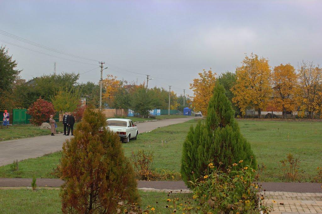 Несваткове з panoramio.com - Несватково