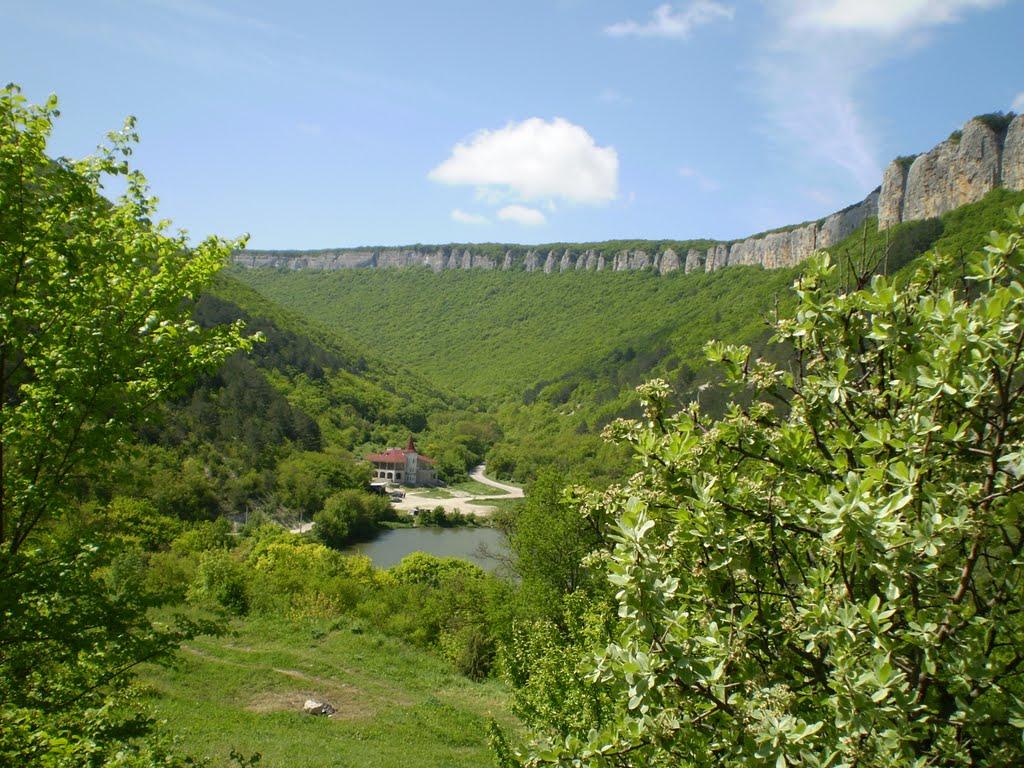 Партизанське з panoramio.com - Партизанське