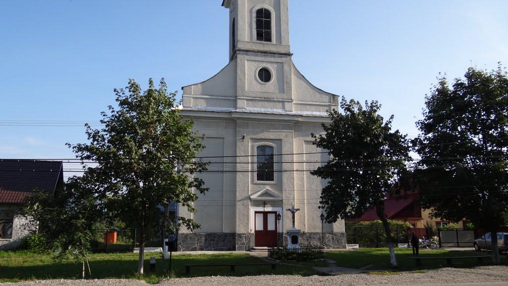 Великий Бичків з panoramio.com - Великий Бычков