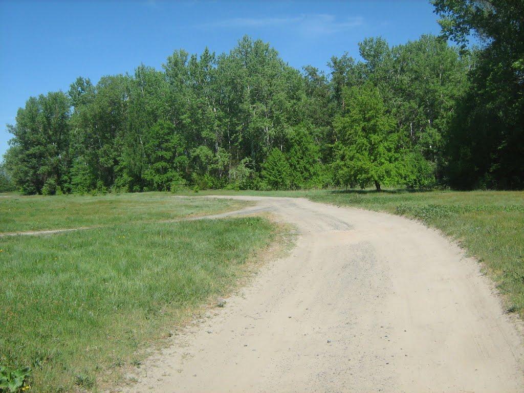 Великі Сорочинці з panoramio.com - Великие Сорочинцы