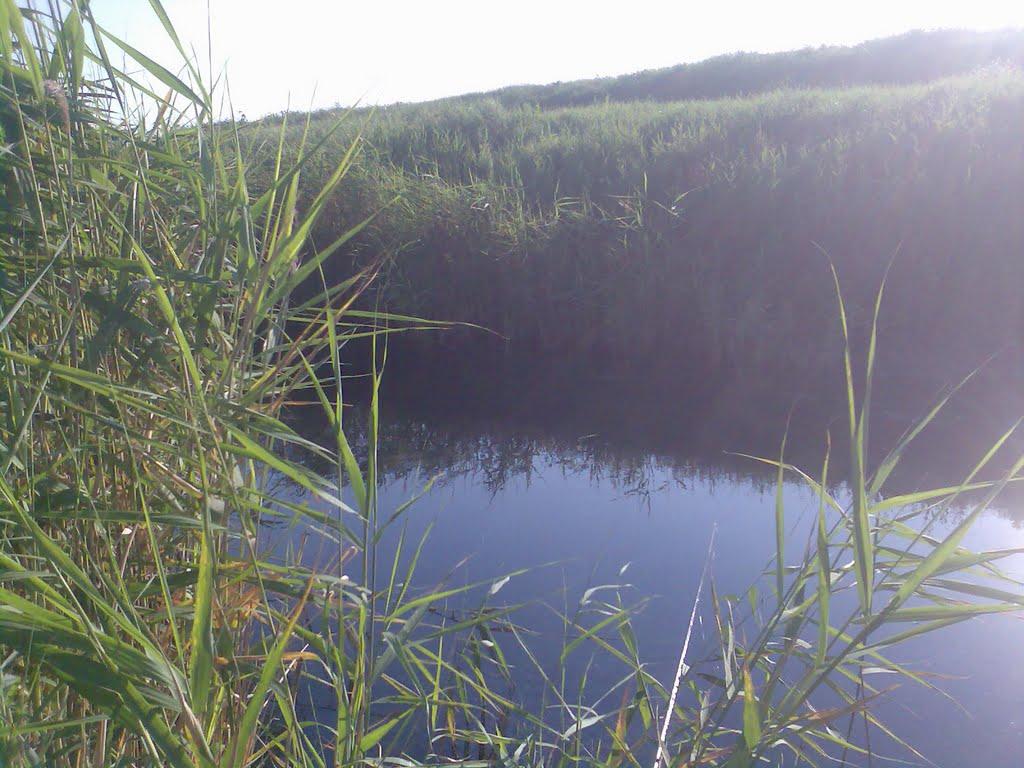 Долинське з panoramio.com - Долинське