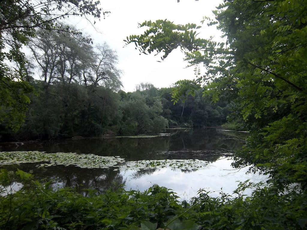 Ташань з panoramio.com - Ташань