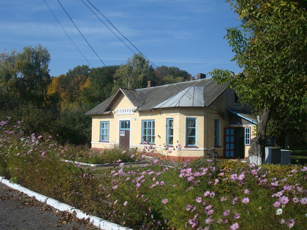 Лісоводи з panoramio.com - Лісоводи