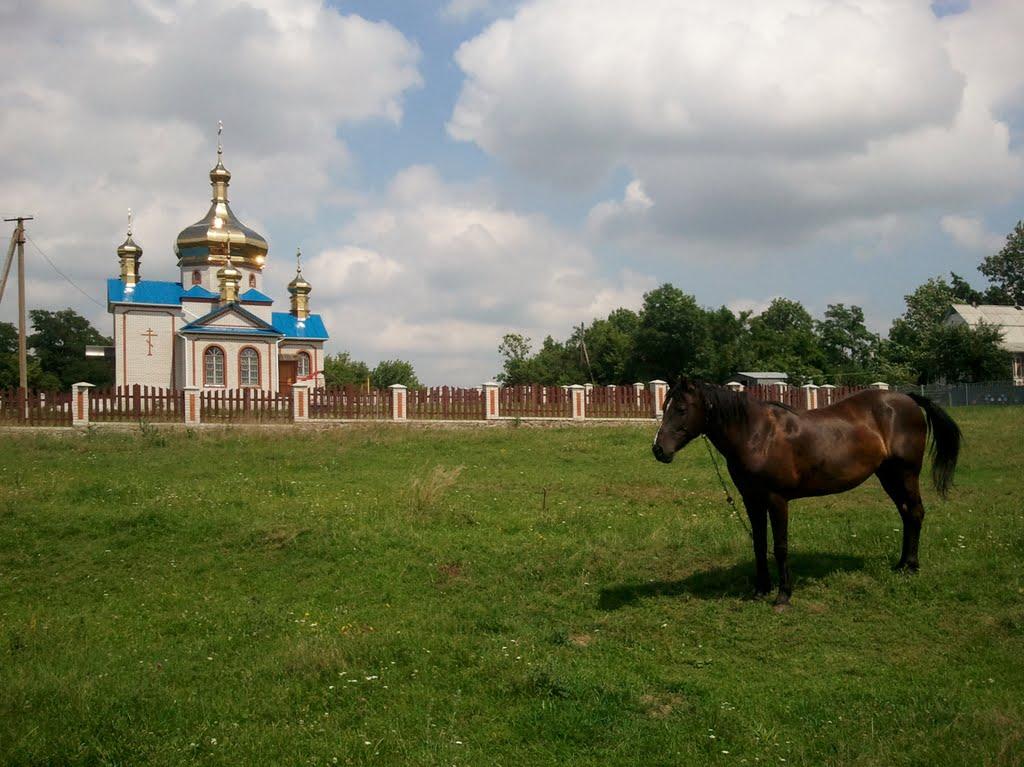 Довгалівка з panoramio.com - Довгалівка