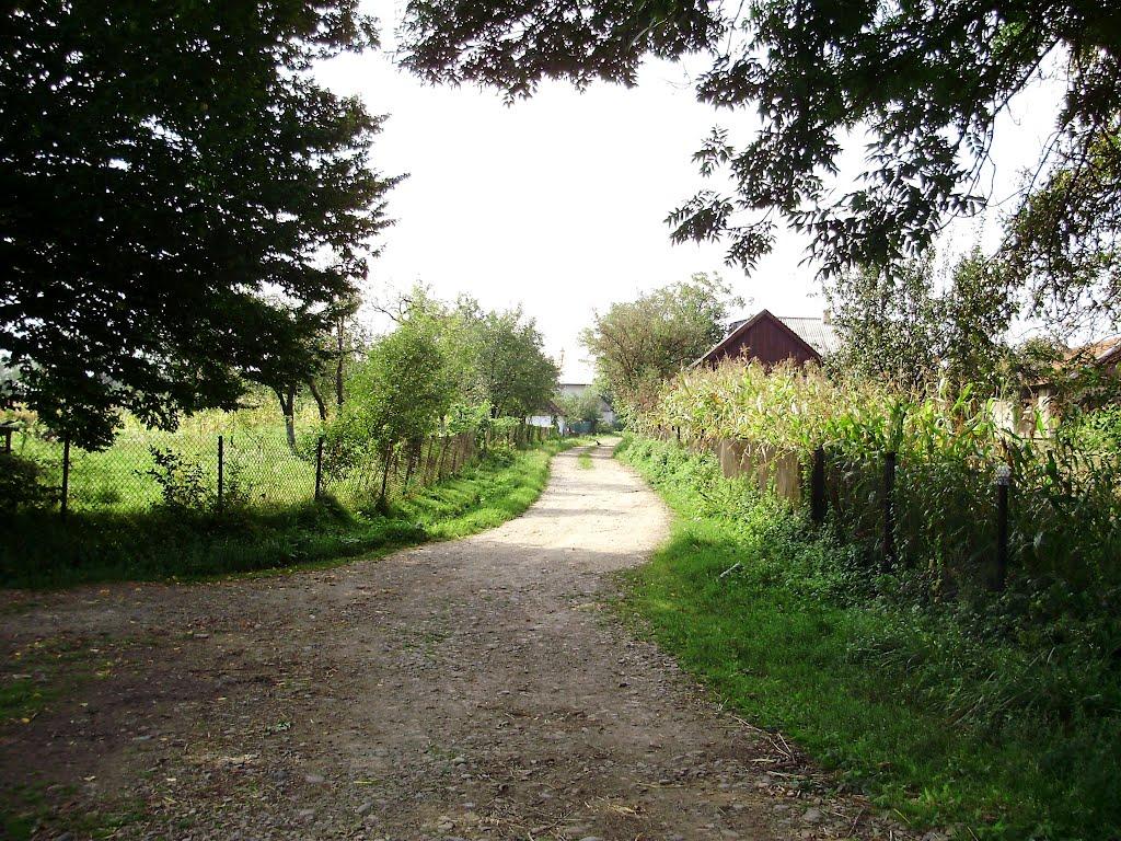 Черниця з panoramio.com - Черниця