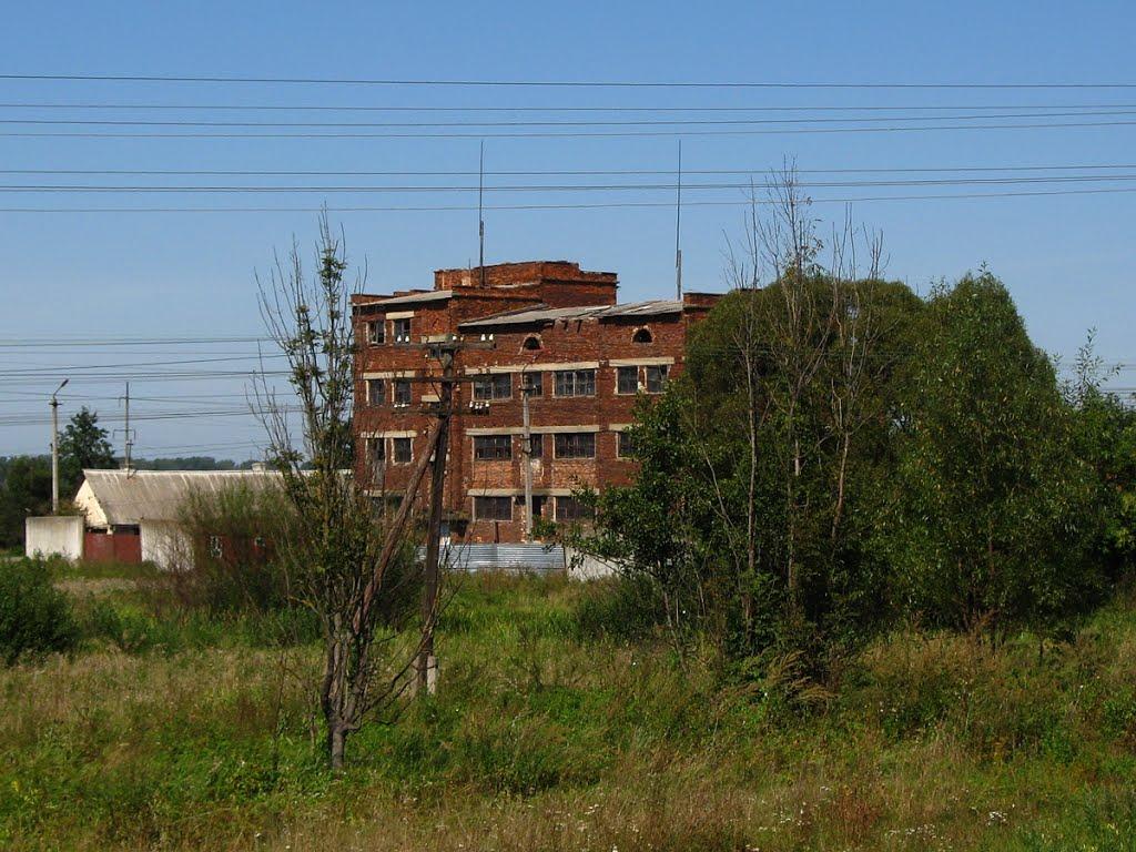 Бабина з panoramio.com - Babyna