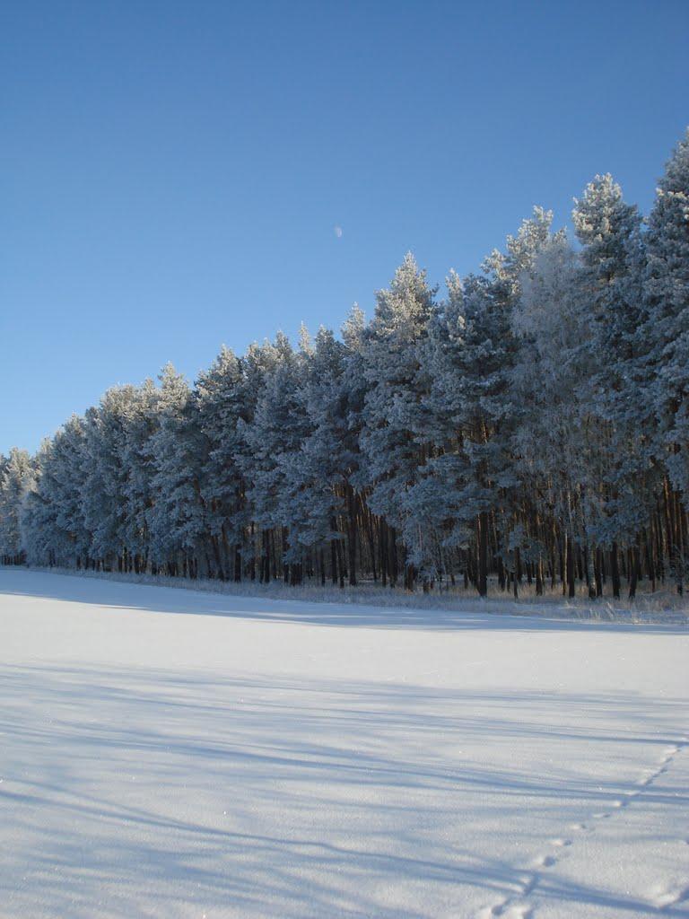 Філатове з panoramio.com - Філатове