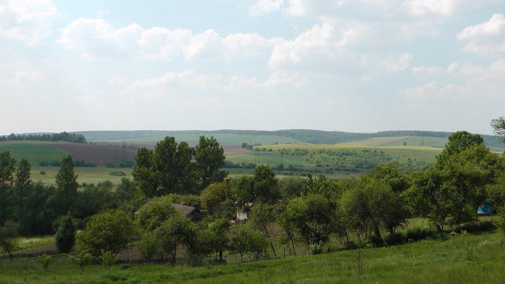 Дроховичі з panoramio.com - Дроховичі