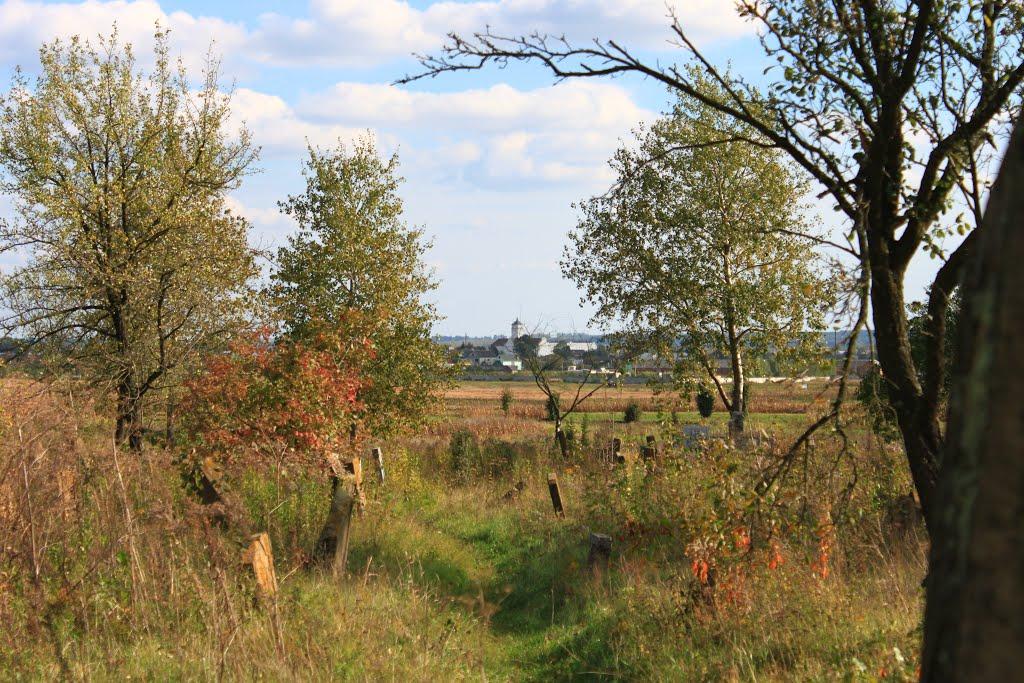 Ізяслав з panoramio.com - Изяслав