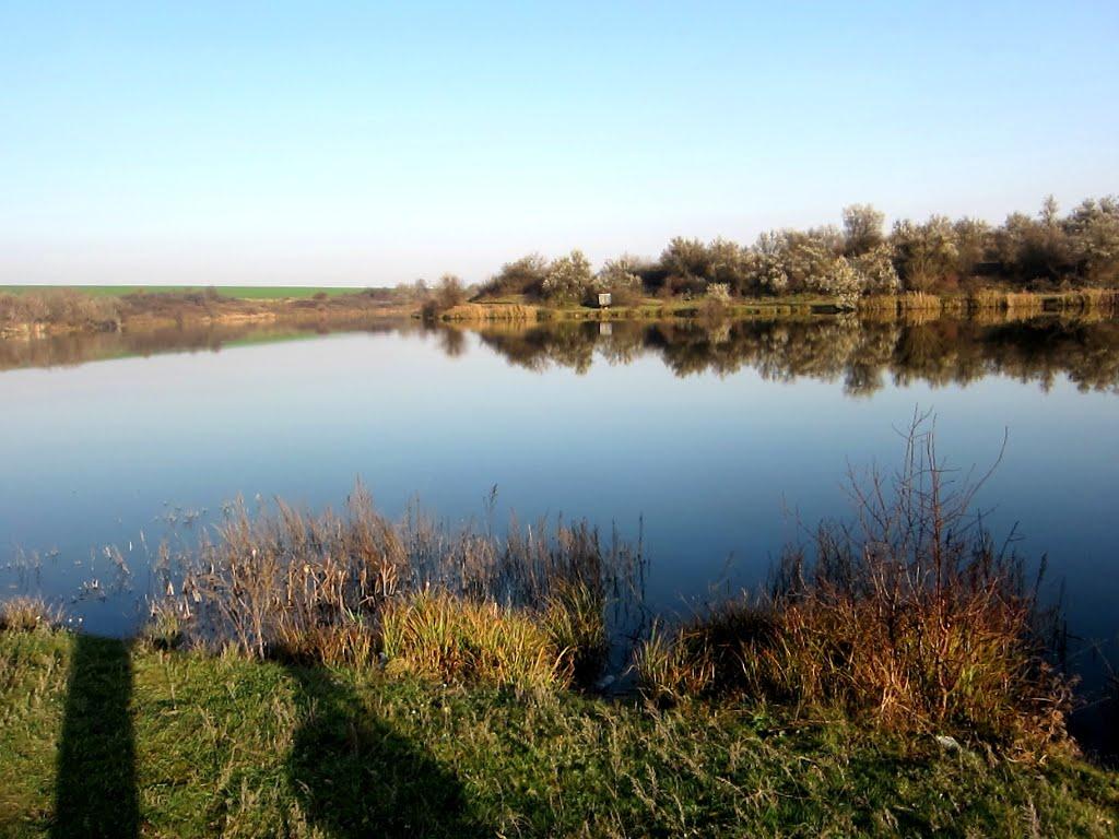 Козакова Балка з panoramio.com - Козакова Балка