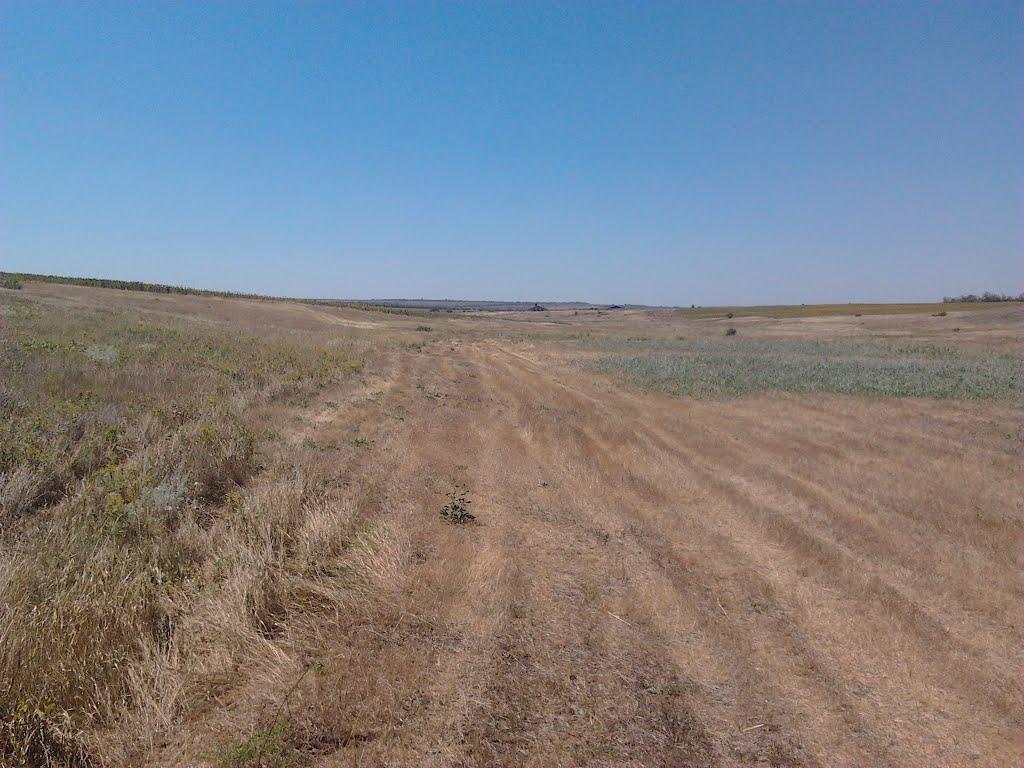 Васинівка з panoramio.com - Васинівка