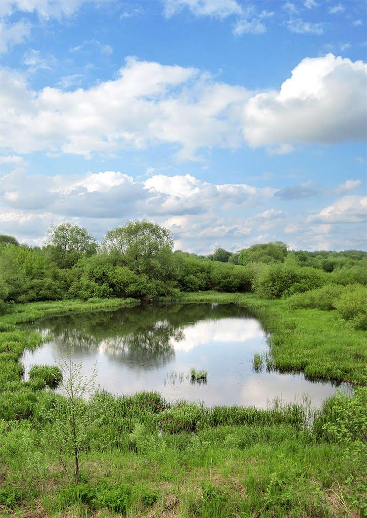 Немильня з panoramio.com - Немильня