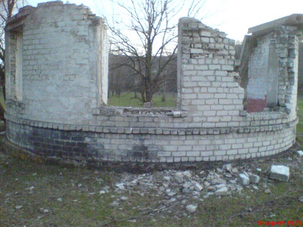 Давидо-Микільське з panoramio.com - Давыдо-Никольское