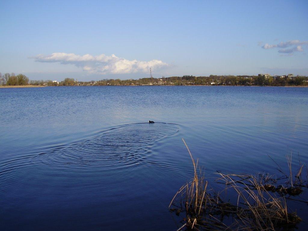 Миронівка з panoramio.com - Мироновка