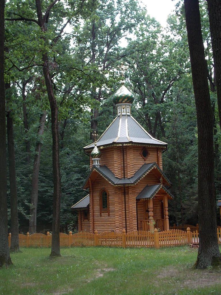 Дорожне з panoramio.com - Dorozhne