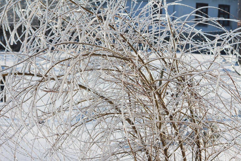 Оглядів з panoramio.com - Оглядов