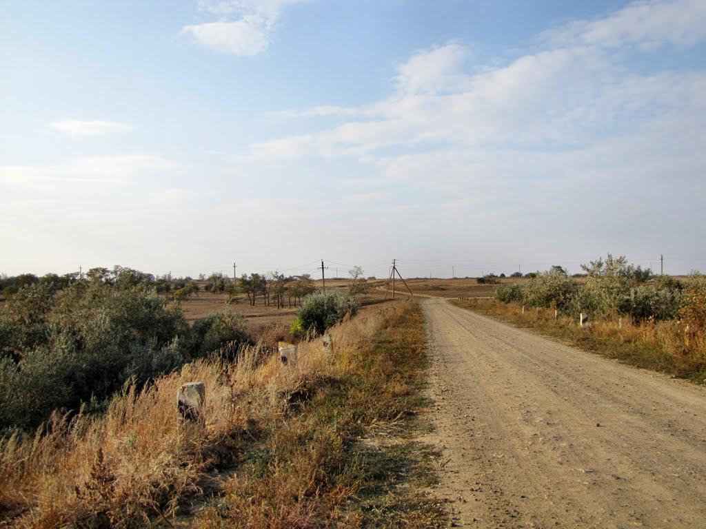 Їжицьке з panoramio.com - Їжицьке