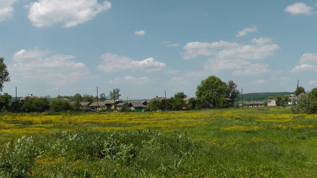 Дроховичі з panoramio.com - Drokhovychi