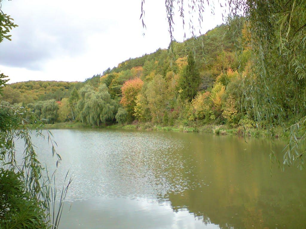Рогачин з panoramio.com - Rogachyn