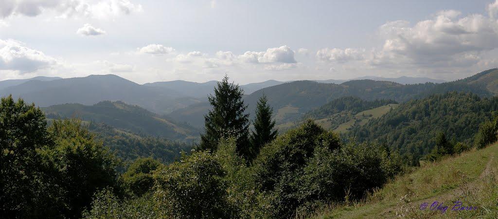 Стригальня з panoramio.com - Стригальня