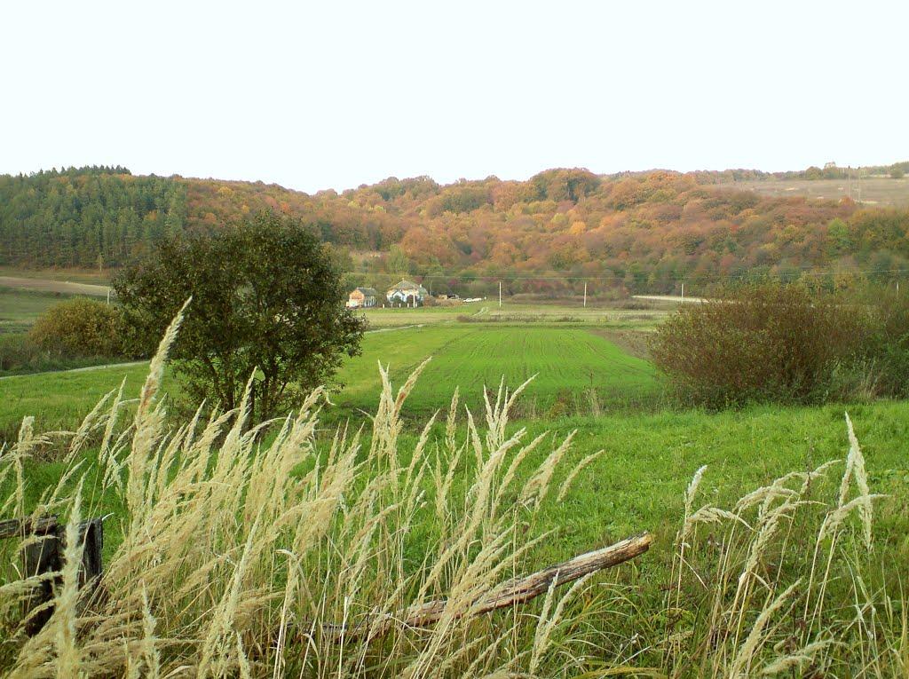 Рогачин з panoramio.com - Rogachyn
