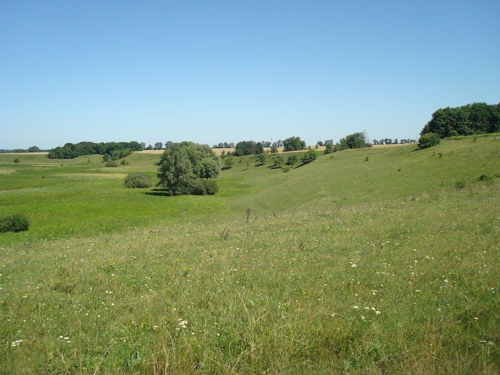 Вергуни з panoramio.com - Вергуни