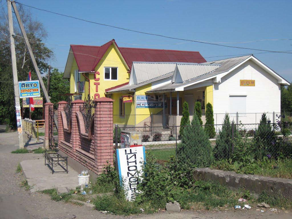 Кути з panoramio.com - Куты