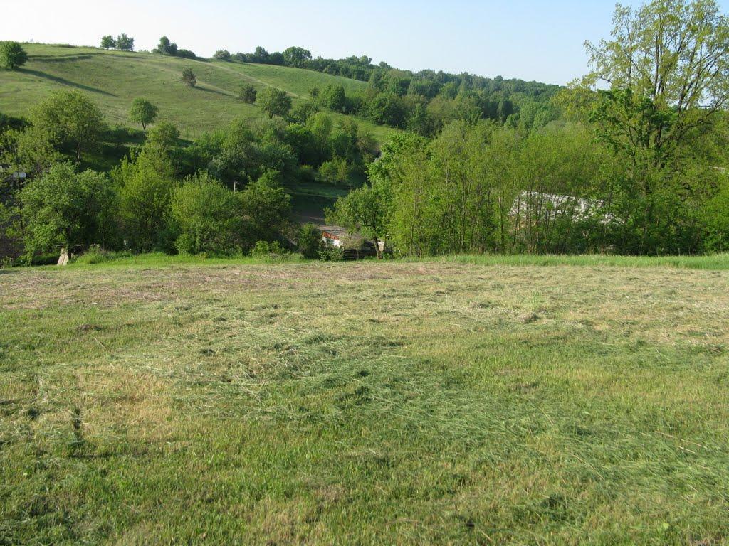 Саморідня з panoramio.com - Саморідня