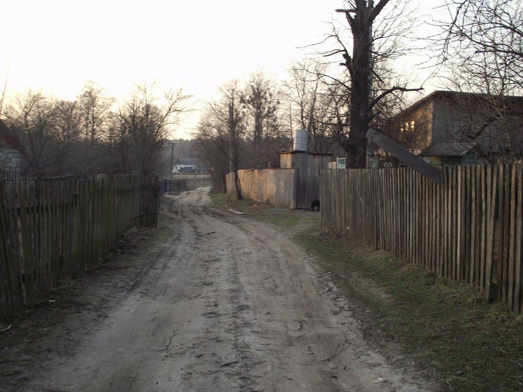 Верлок з panoramio.com - Верлок