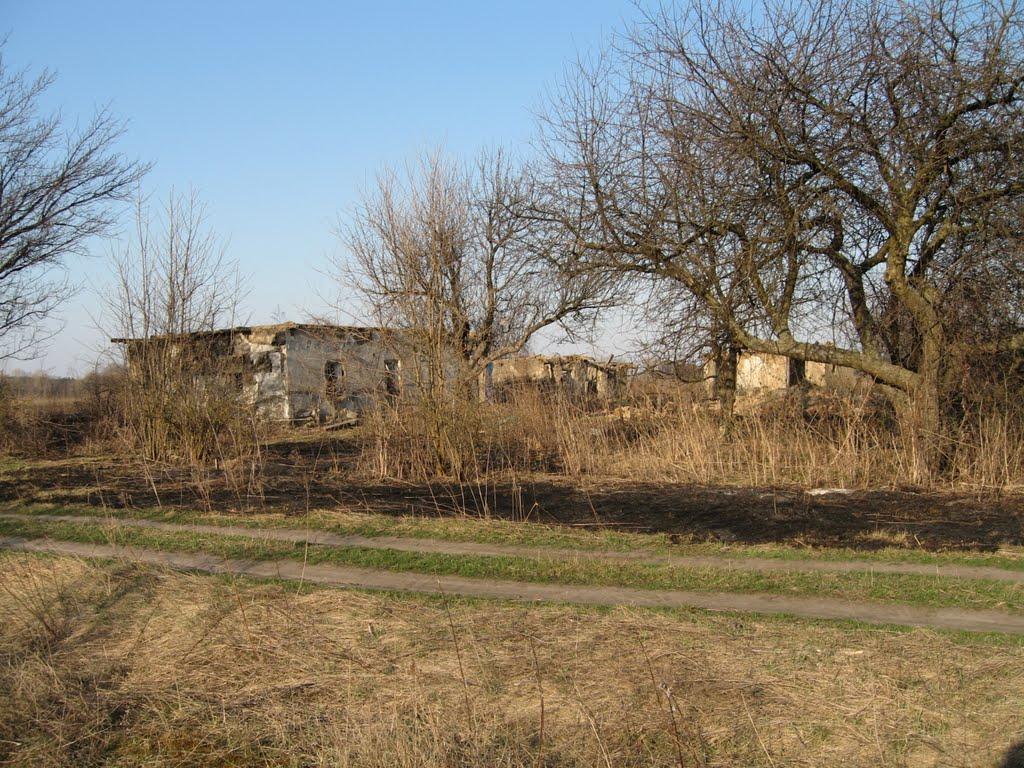 Плавні з panoramio.com - Плавни