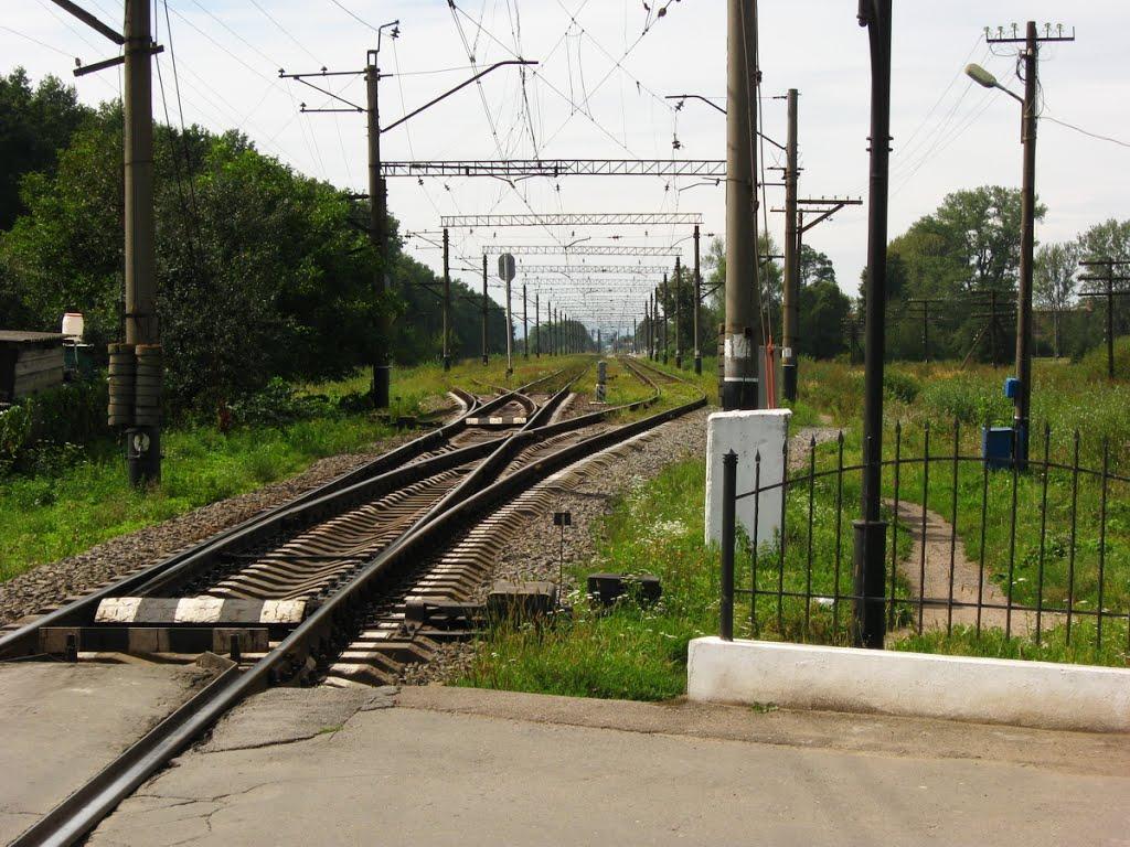 Бабина з panoramio.com - Babyna