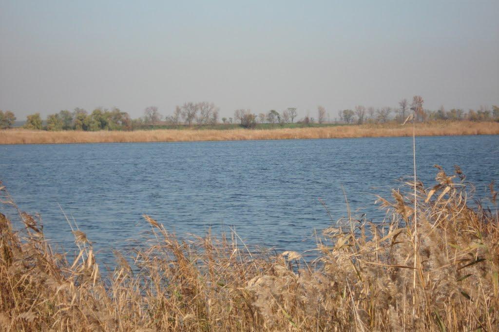 Займанка з panoramio.com - Займанка