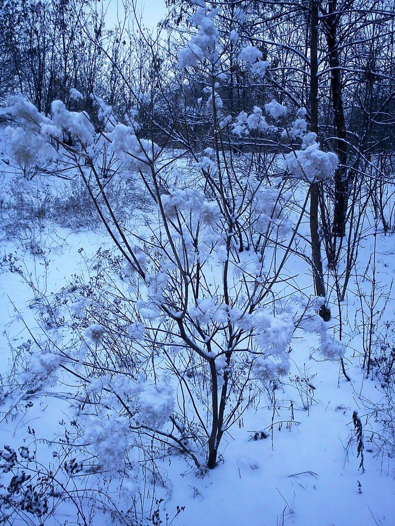 Ровеньки з panoramio.com - Ровеньки