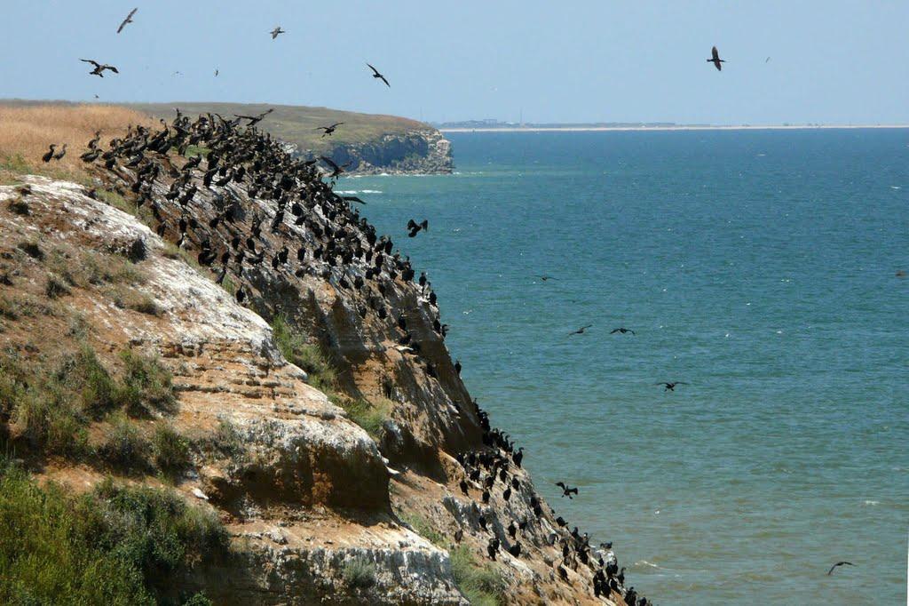 Заводське з panoramio.com - Заводське