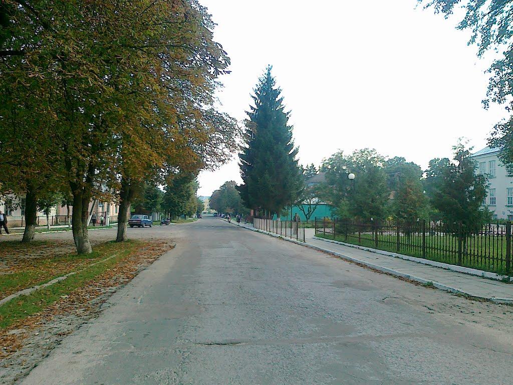Лопатин з panoramio.com - Лопатин