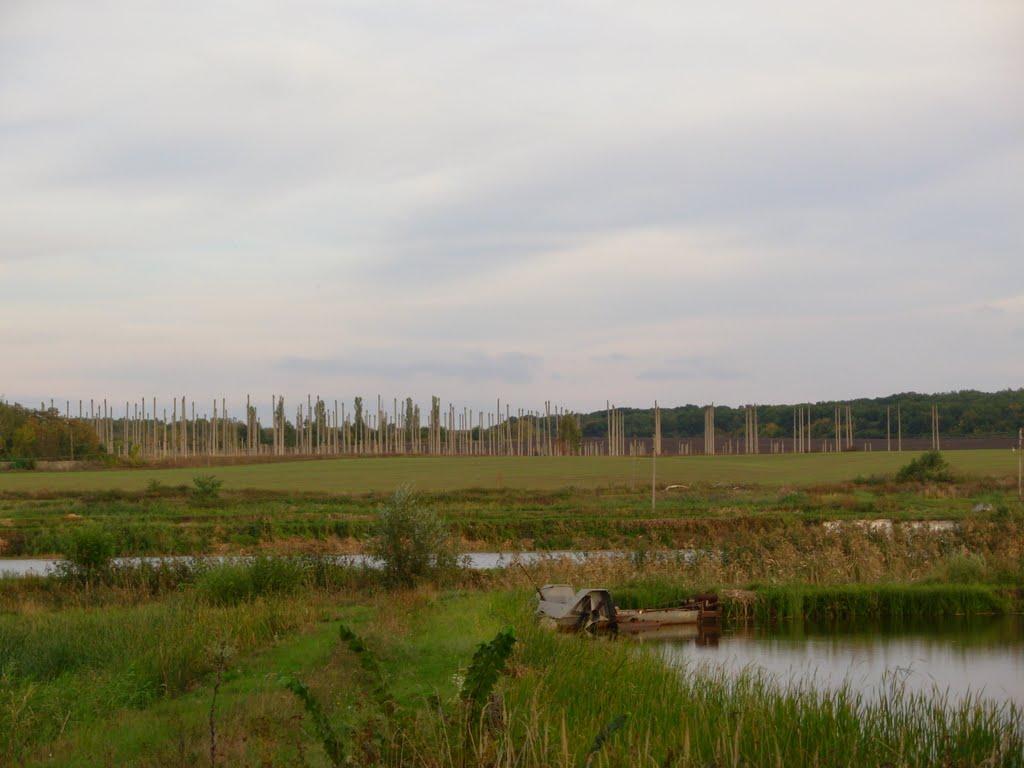 Водяхівка з panoramio.com - Vodyakhivka