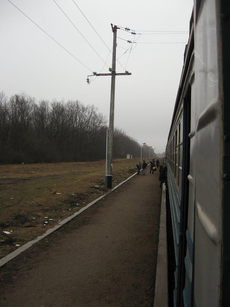 Пустовіти з panoramio.com - Пустовиты