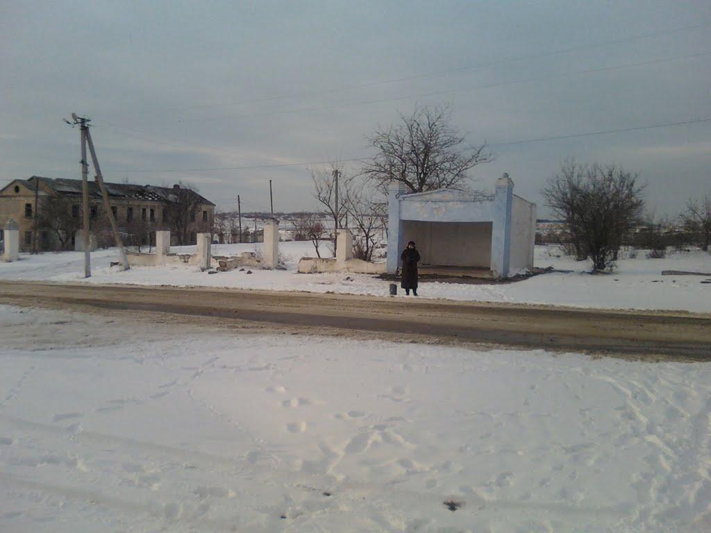 Виноградне з panoramio.com - Виноградне