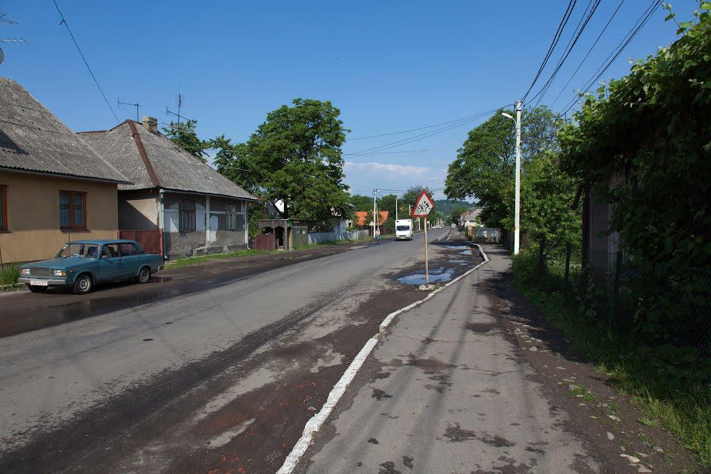 Великий Бичків з panoramio.com - Великий Бычков