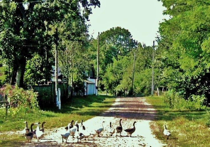 Бурімка з panoramio.com - Бурімка