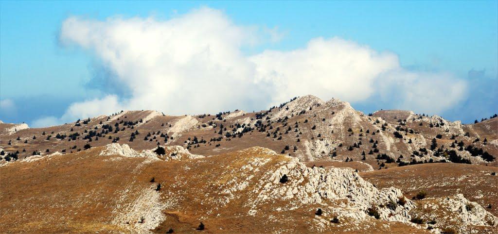 Запрудне з panoramio.com - Запрудне