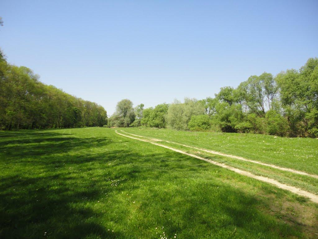 Великі Ком'яти з panoramio.com - Великие Комяты