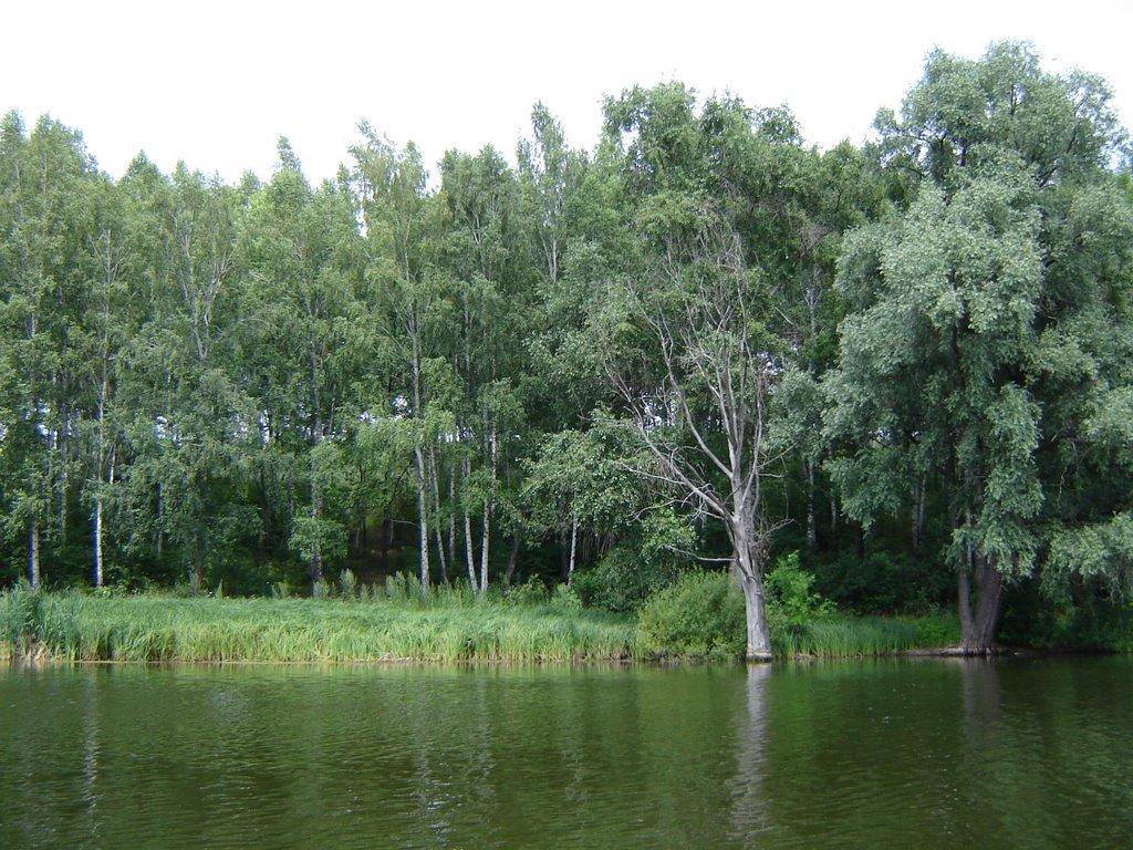 Люботин з panoramio.com (ч.2) - Люботин